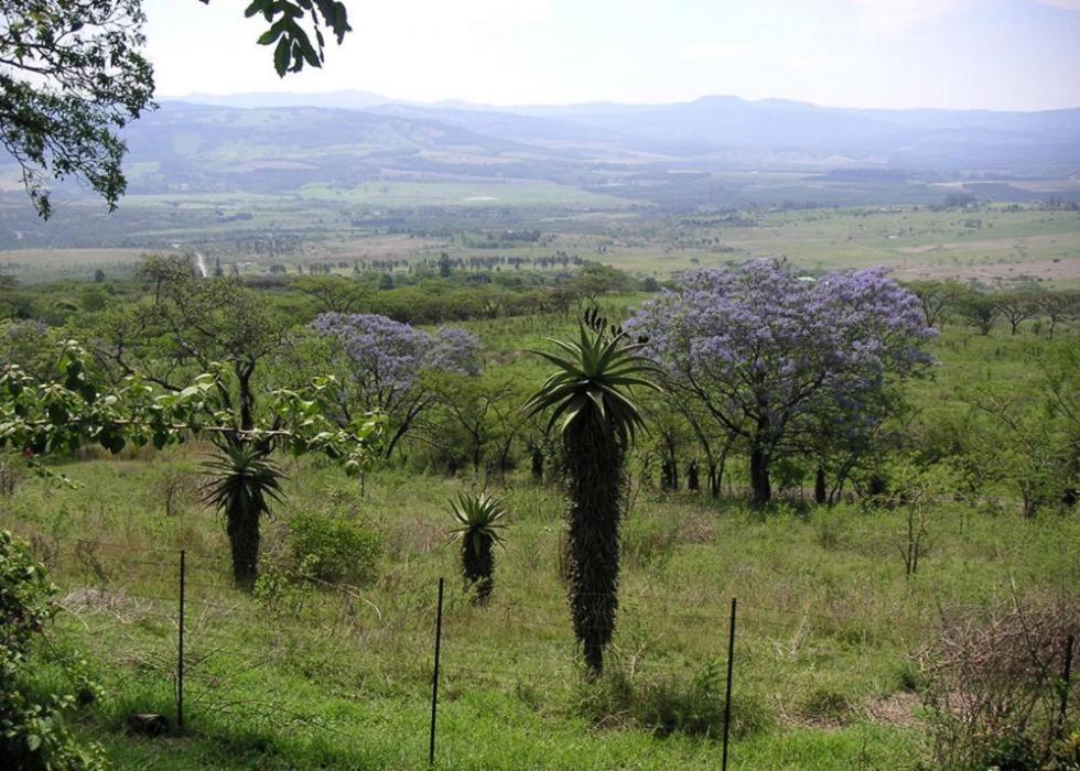 Villa Mon Desir à Pietermaritzburg Extérieur photo