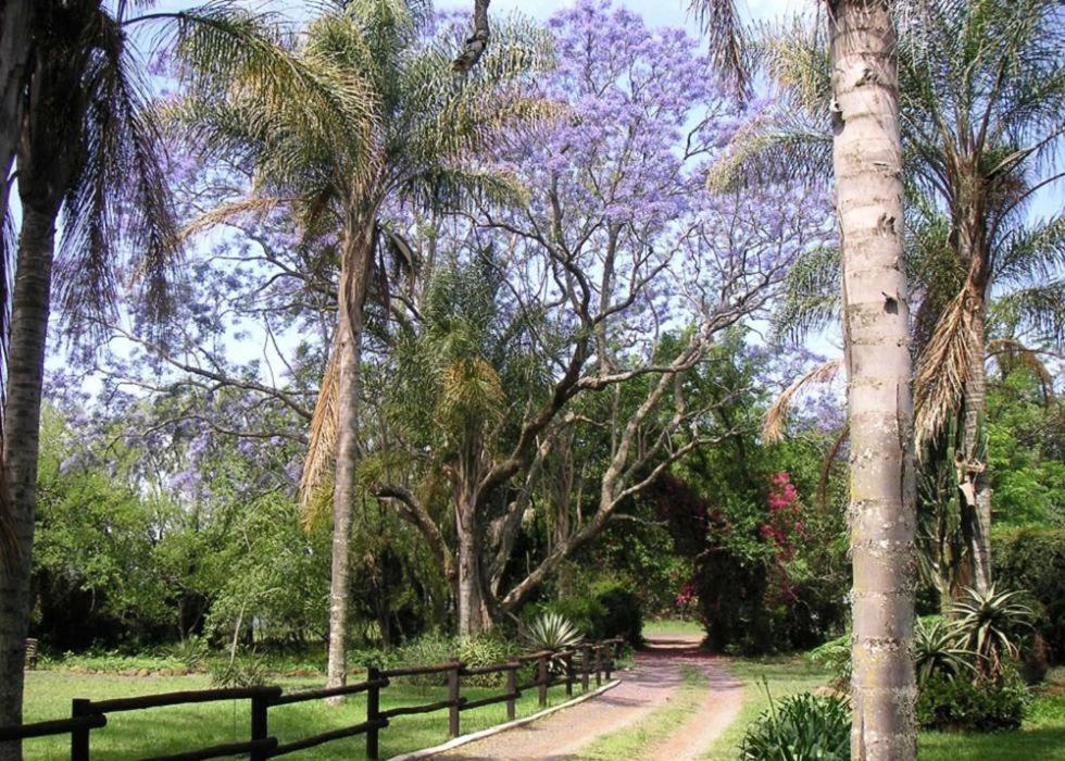 Villa Mon Desir à Pietermaritzburg Extérieur photo